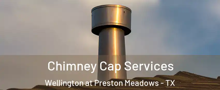 Chimney Cap Services Wellington at Preston Meadows - TX