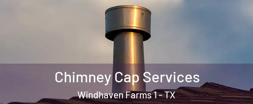 Chimney Cap Services Windhaven Farms 1 - TX