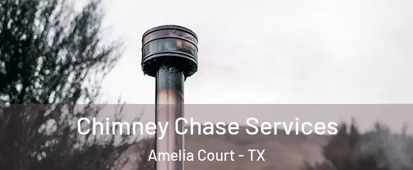 Chimney Chase Services Amelia Court - TX