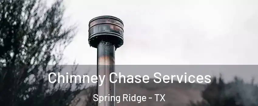 Chimney Chase Services Spring Ridge - TX