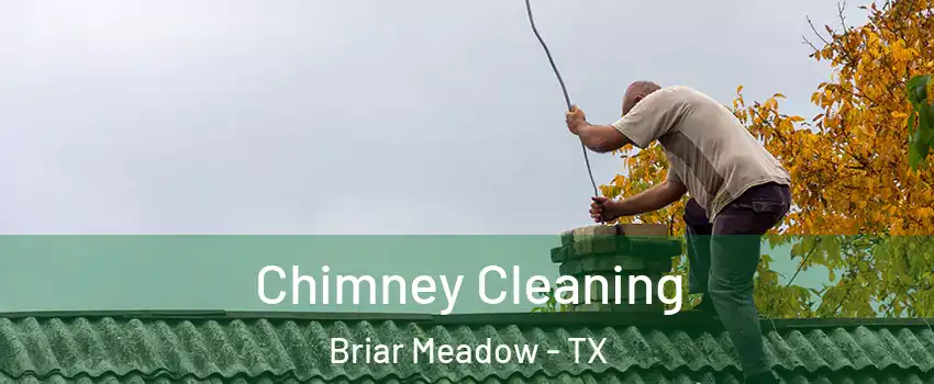 Chimney Cleaning Briar Meadow - TX