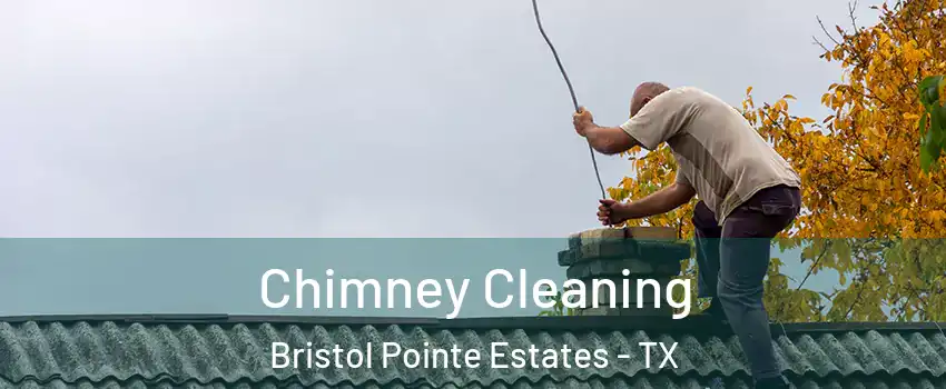 Chimney Cleaning Bristol Pointe Estates - TX