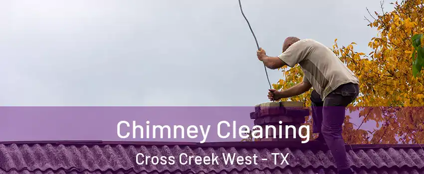 Chimney Cleaning Cross Creek West - TX