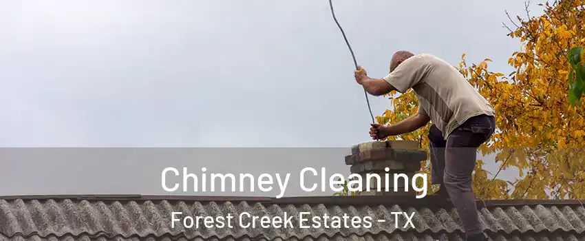 Chimney Cleaning Forest Creek Estates - TX