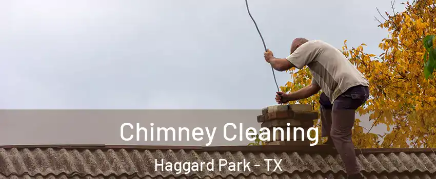 Chimney Cleaning Haggard Park - TX