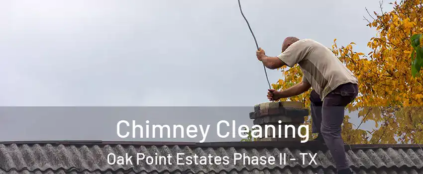 Chimney Cleaning Oak Point Estates Phase II - TX