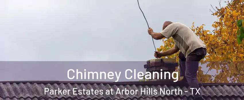 Chimney Cleaning Parker Estates at Arbor Hills North - TX