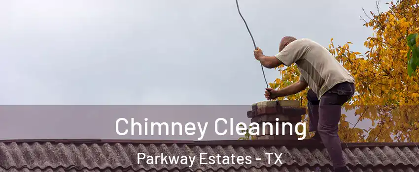 Chimney Cleaning Parkway Estates - TX