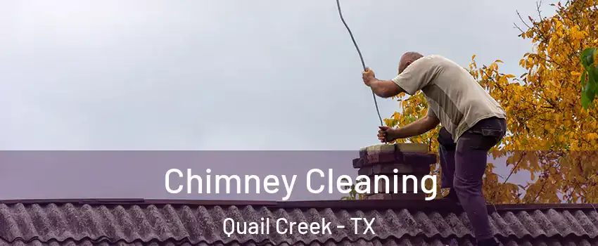 Chimney Cleaning Quail Creek - TX