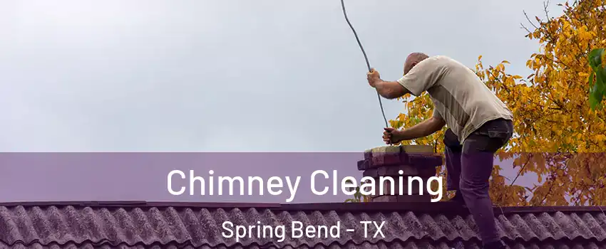 Chimney Cleaning Spring Bend - TX