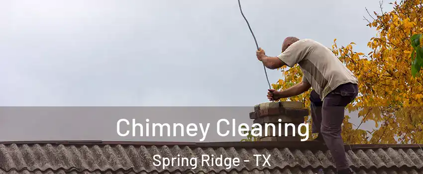 Chimney Cleaning Spring Ridge - TX