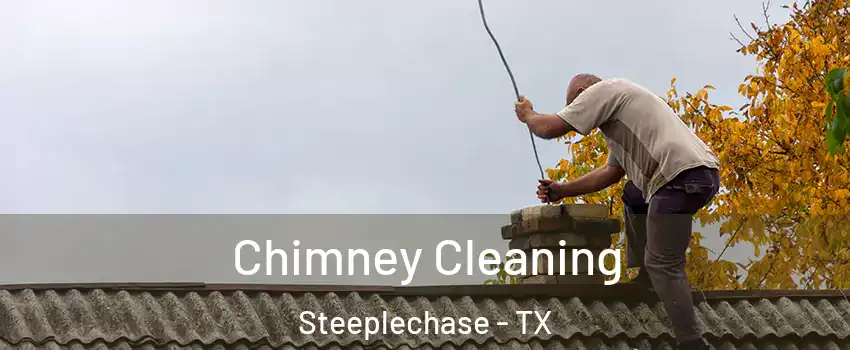 Chimney Cleaning Steeplechase - TX