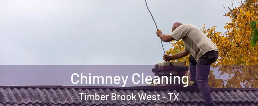 Chimney Cleaning Timber Brook West - TX