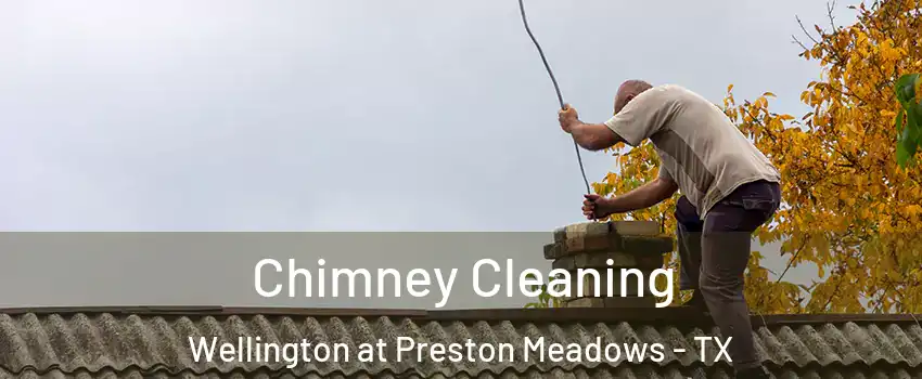 Chimney Cleaning Wellington at Preston Meadows - TX