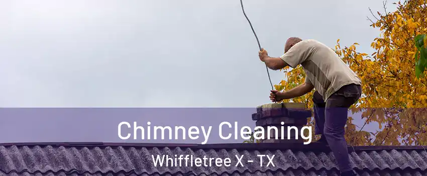 Chimney Cleaning Whiffletree X - TX