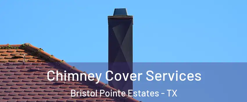 Chimney Cover Services Bristol Pointe Estates - TX