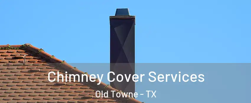 Chimney Cover Services Old Towne - TX