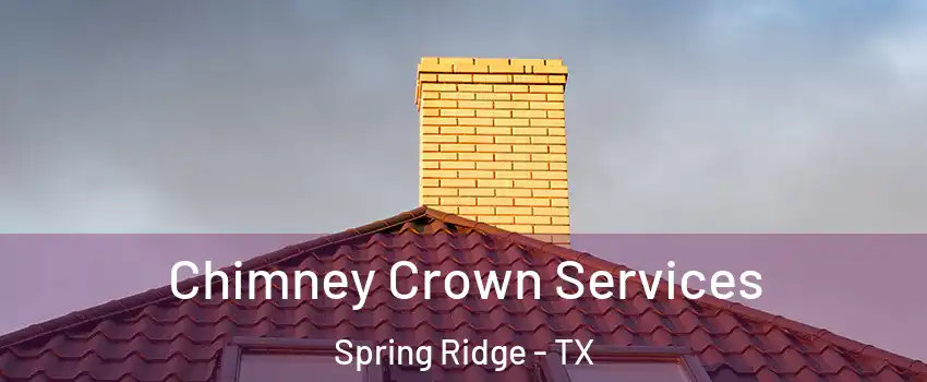 Chimney Crown Services Spring Ridge - TX