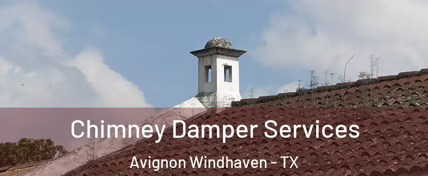 Chimney Damper Services Avignon Windhaven - TX