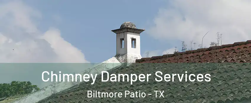 Chimney Damper Services Biltmore Patio - TX