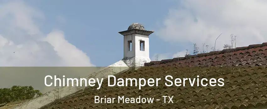 Chimney Damper Services Briar Meadow - TX