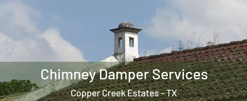 Chimney Damper Services Copper Creek Estates - TX