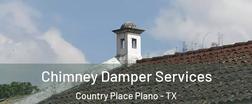 Chimney Damper Services Country Place Plano - TX