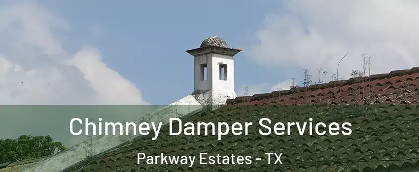 Chimney Damper Services Parkway Estates - TX