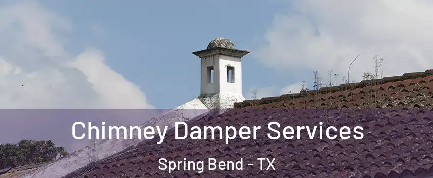 Chimney Damper Services Spring Bend - TX