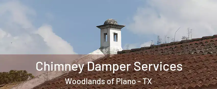 Chimney Damper Services Woodlands of Plano - TX