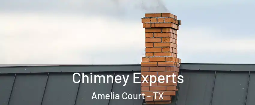 Chimney Experts Amelia Court - TX