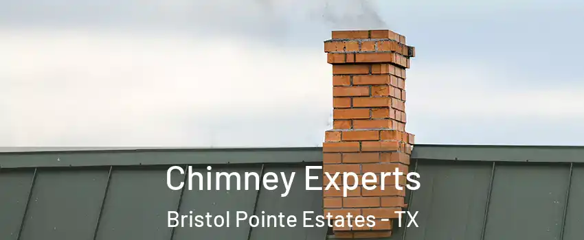 Chimney Experts Bristol Pointe Estates - TX