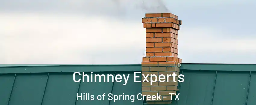 Chimney Experts Hills of Spring Creek - TX