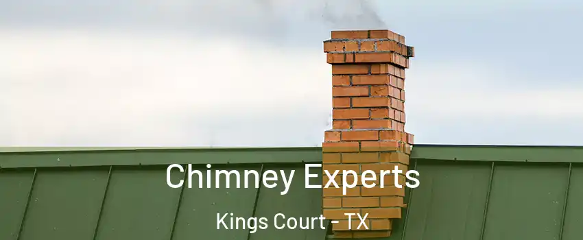 Chimney Experts Kings Court - TX