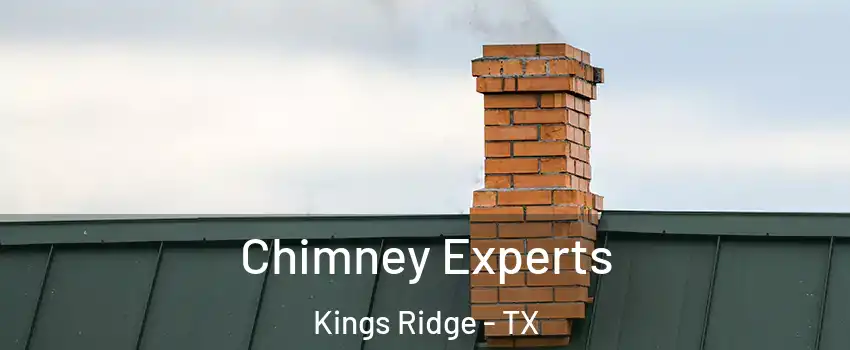 Chimney Experts Kings Ridge - TX