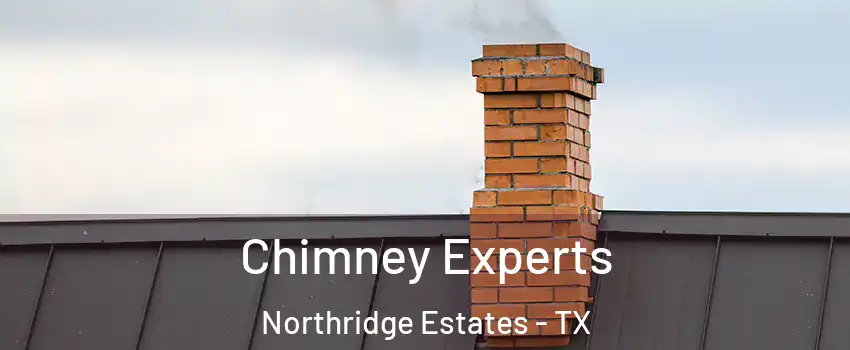 Chimney Experts Northridge Estates - TX