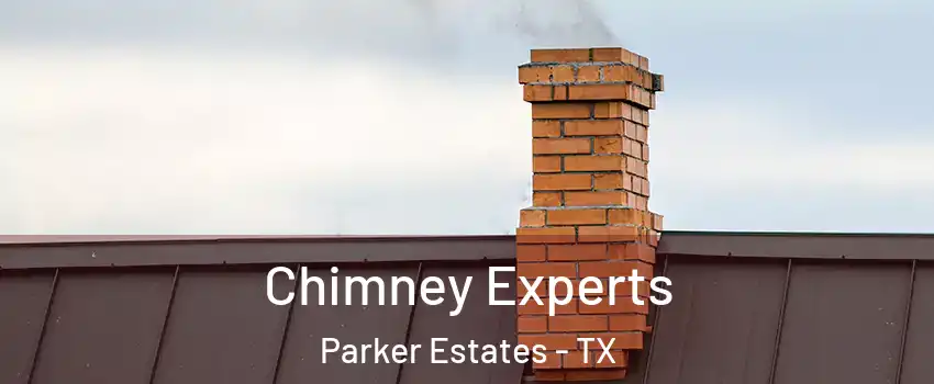 Chimney Experts Parker Estates - TX