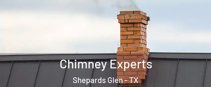 Chimney Experts Shepards Glen - TX