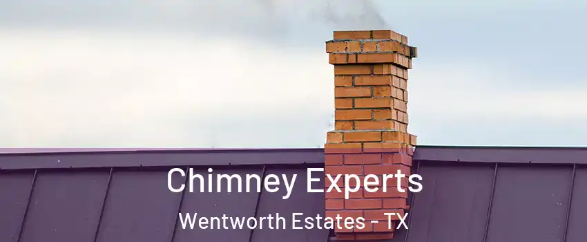 Chimney Experts Wentworth Estates - TX