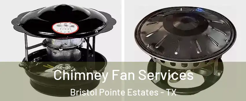 Chimney Fan Services Bristol Pointe Estates - TX