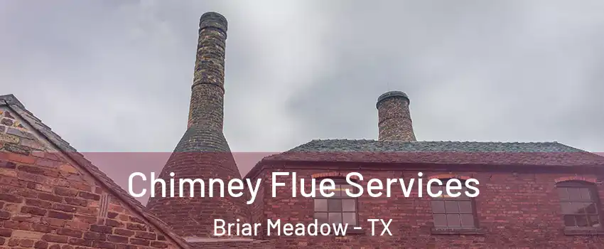 Chimney Flue Services Briar Meadow - TX