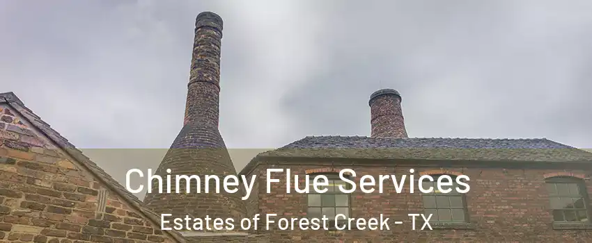 Chimney Flue Services Estates of Forest Creek - TX