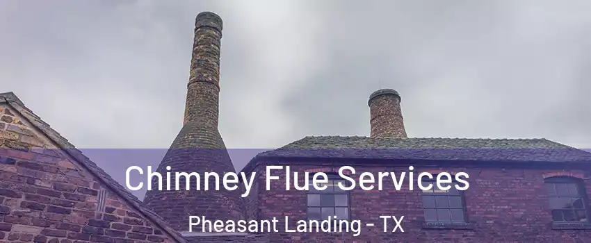 Chimney Flue Services Pheasant Landing - TX