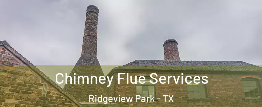 Chimney Flue Services Ridgeview Park - TX