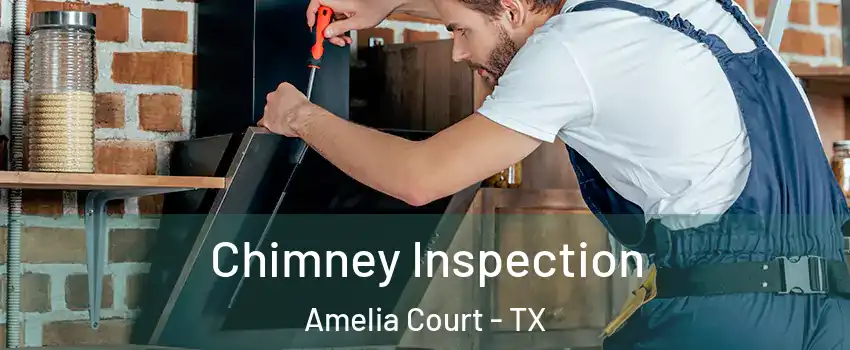 Chimney Inspection Amelia Court - TX