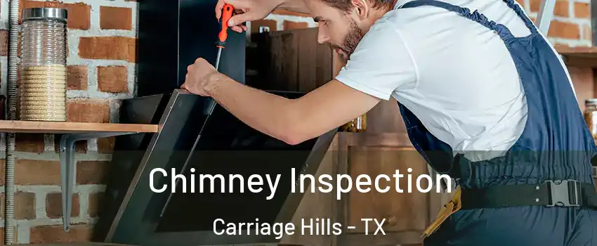 Chimney Inspection Carriage Hills - TX