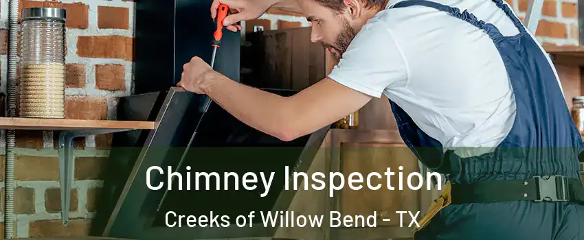 Chimney Inspection Creeks of Willow Bend - TX