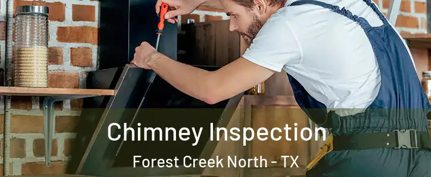 Chimney Inspection Forest Creek North - TX