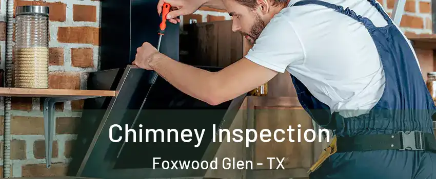 Chimney Inspection Foxwood Glen - TX