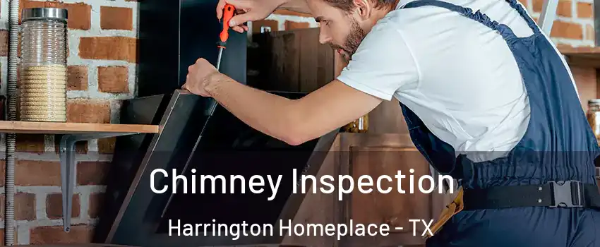 Chimney Inspection Harrington Homeplace - TX